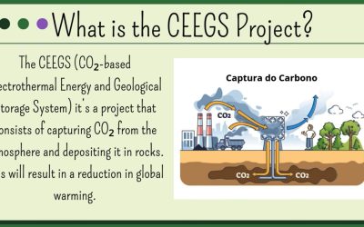 CEEGS Video Contest: And the Winners Are…